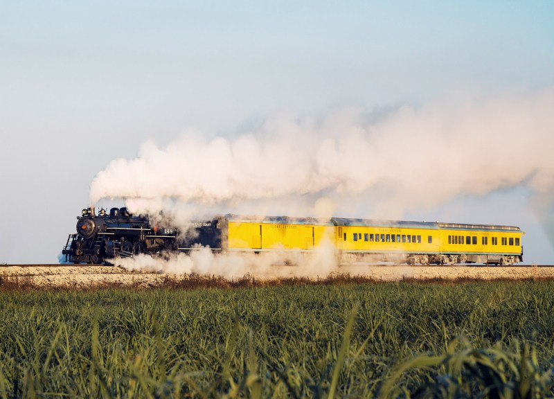 Steam train with yellow carriages traveling through grassy landscape.
