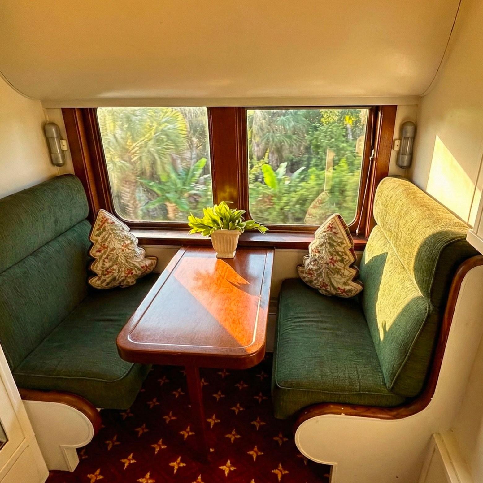 Cozy train cabin with green seats, a table, and plants on it.