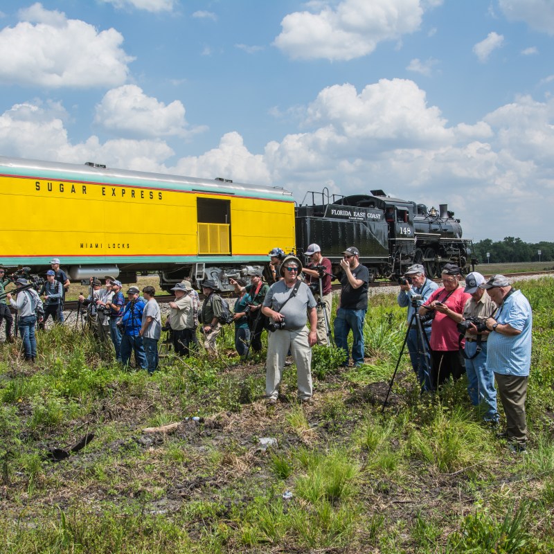 People taking photos of a bright yellow train and a steam locomotive.