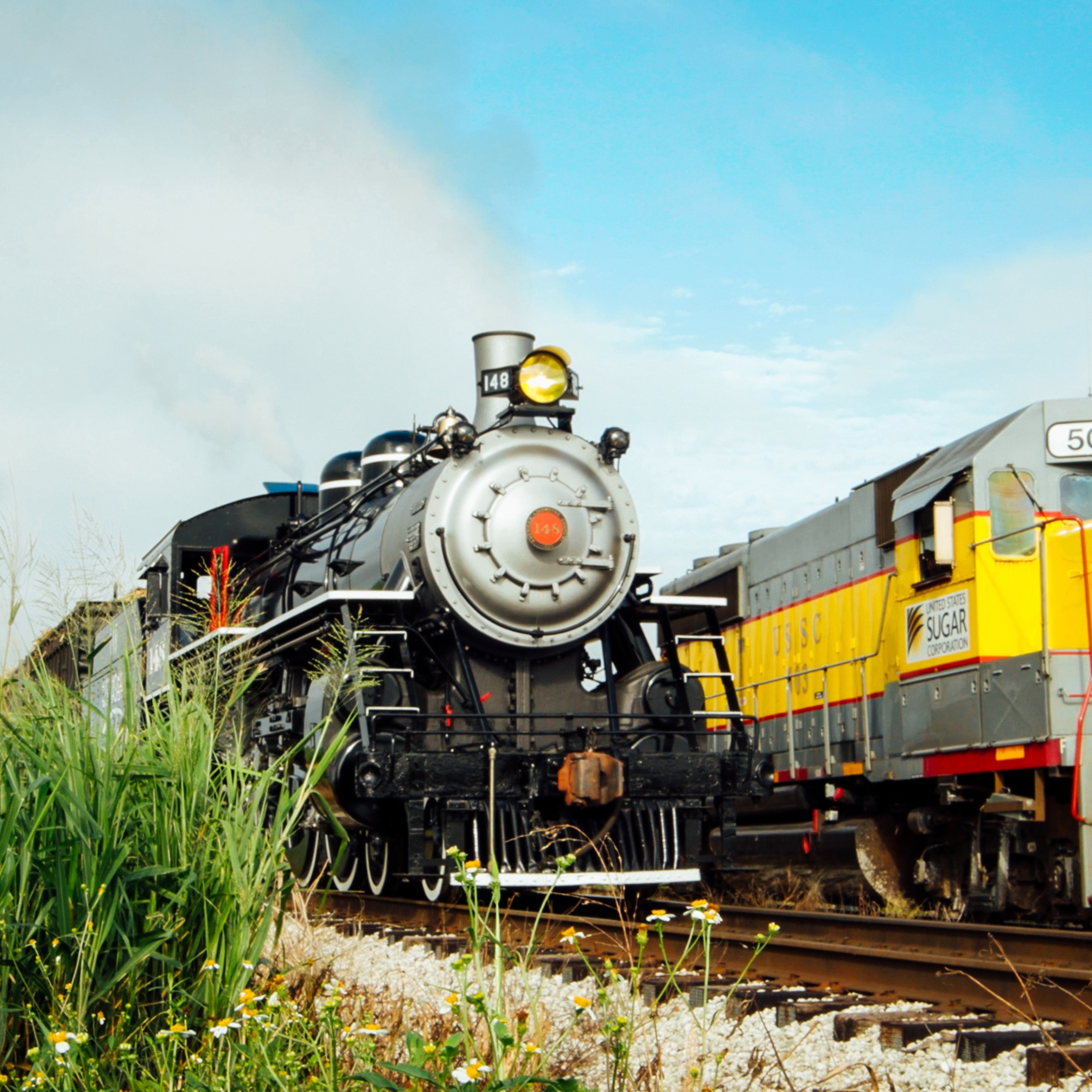 Old steam train and modern train on parallel tracks in a grassy field.