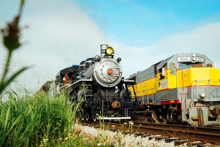 Old steam train and modern train on parallel tracks in a grassy field.