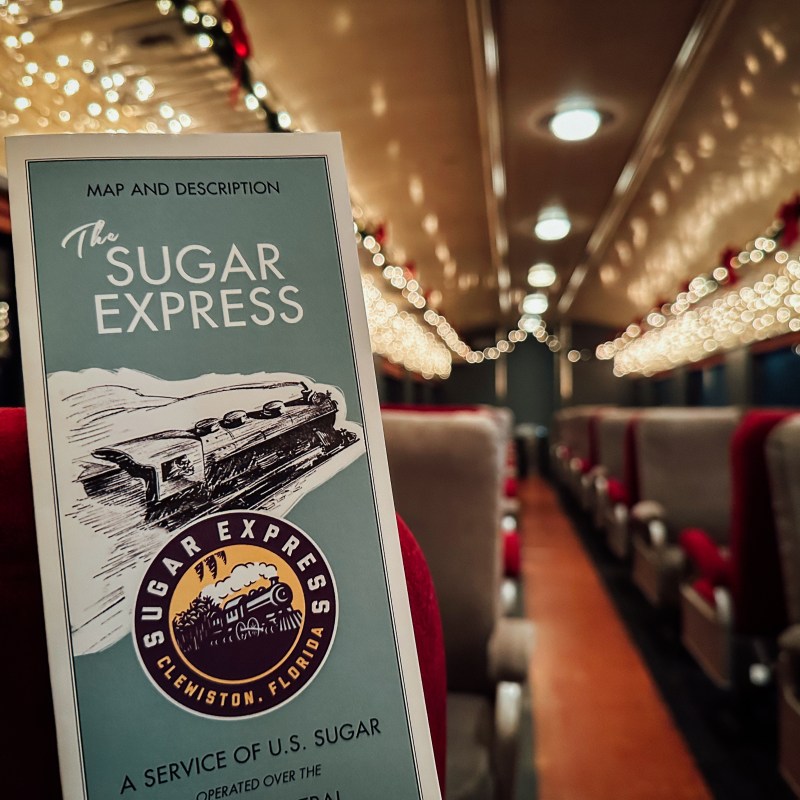 Train brochure inside a decorated train with string lights.